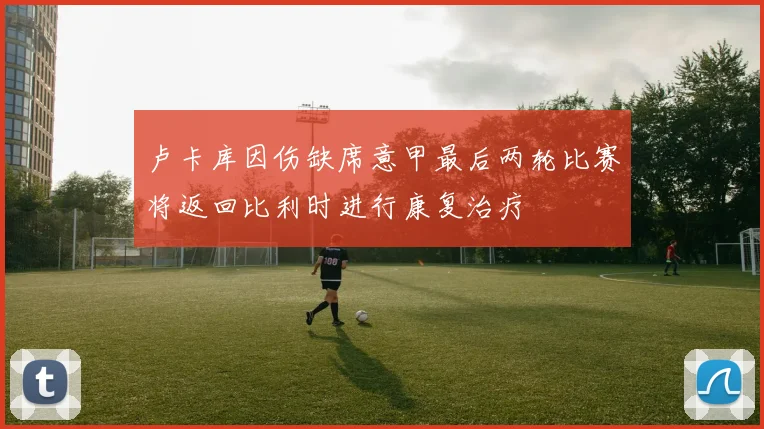 卢卡库因伤缺席意甲最后两轮比赛将返回比利时进行康复治疗